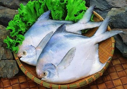 白鯧
